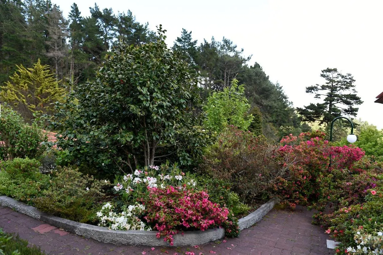 Casas De Pedra Camacha (Madeira)