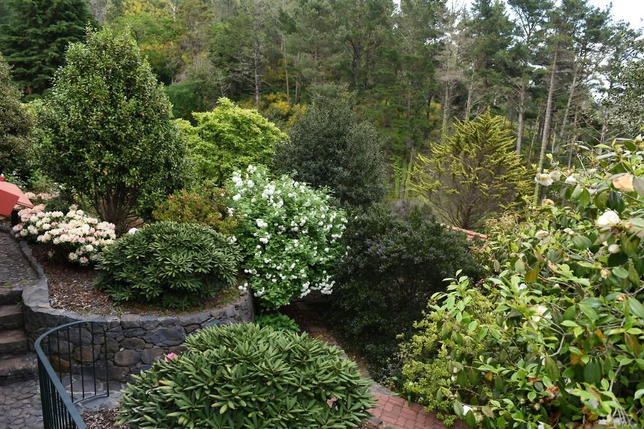 Casas De Pedra Villa Camacha  Vakantieboerderij