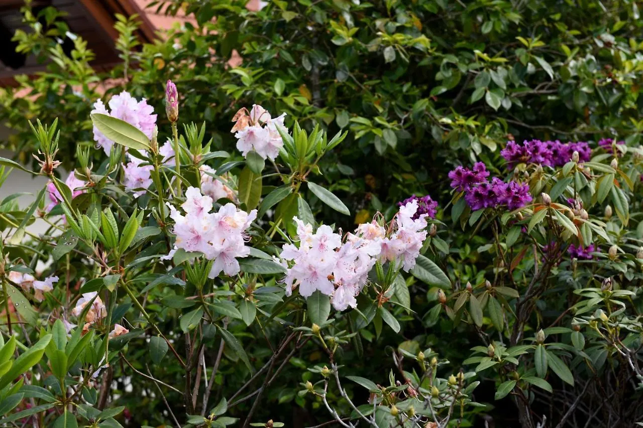 Farm stay Casas De Pedra Villa Camacha
